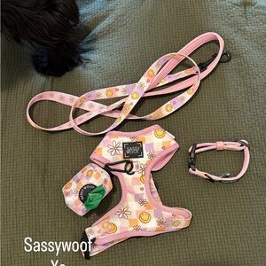 Sassy Woof Pink Floral Dog Harness Set